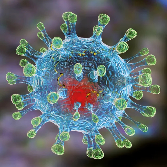 Уханьский коронавирус, 2019-nCoV, coronavirus 2019, коронавирус 2019
