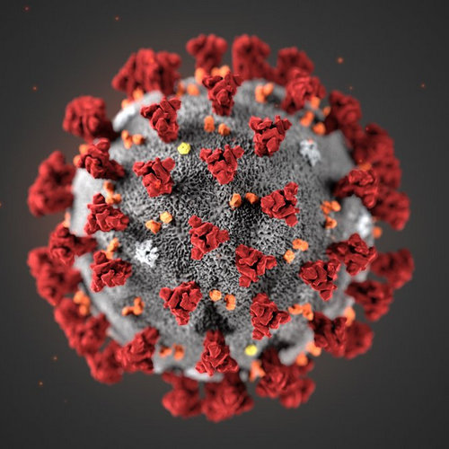 coronavirus, Уханьский коронавирус, 2019-nCoV, coronavirus 2019, коронавирус 2019